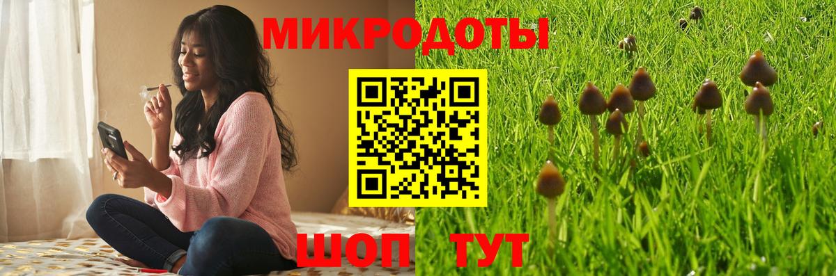 Грязи  где купить наркоту  Псилоцибиновые грибы ЛСД  Вход с VPN  Псилоцибиновые грибы Cubensis 