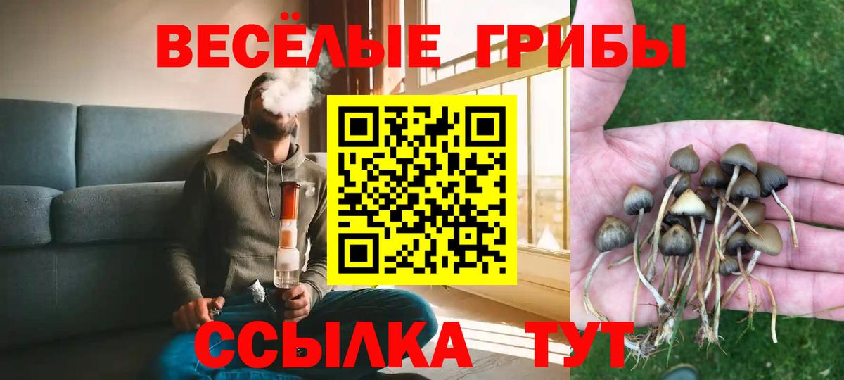 Галлюциногенные грибы ЛСД Грязи